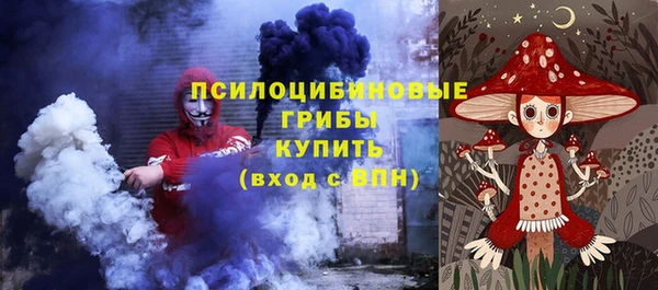 трава Саяногорск