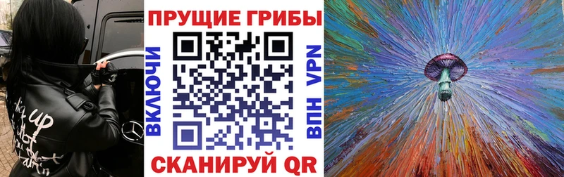 наркошоп  Клинцы  Галлюциногенные грибы MAGIC MUSHROOMS 