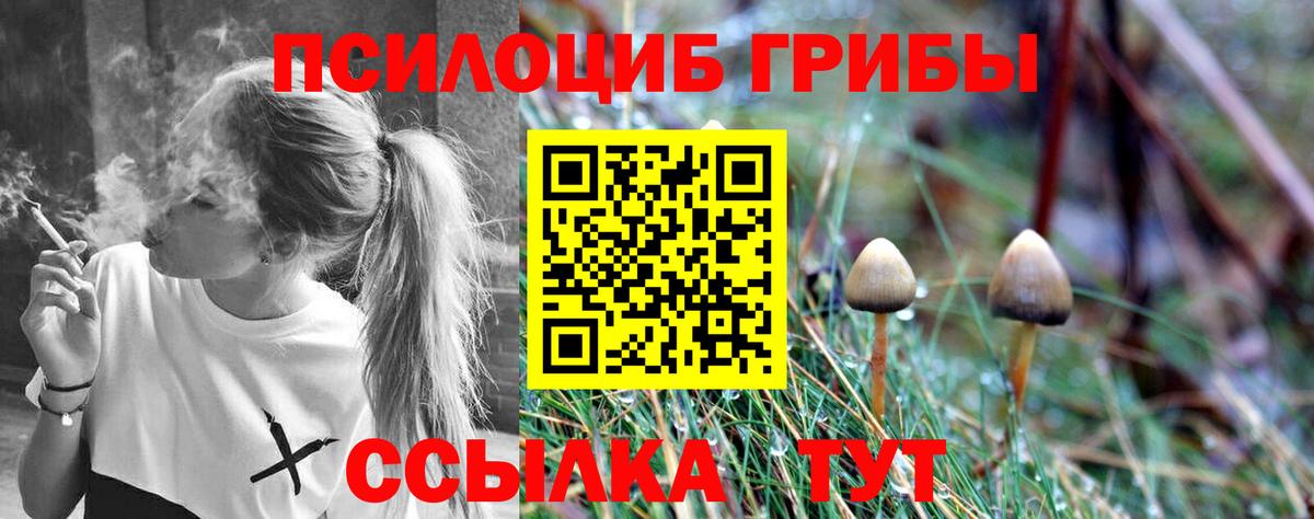 Галлюциногенные грибы мицелий  Вход с VPN  Клинцы 