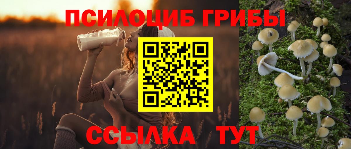 Псилоцибиновые грибы ЛСД Клинцы
